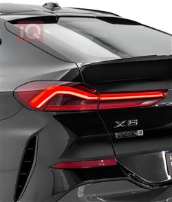 بي ام دبليو X6